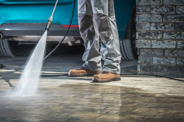 Best Spring Cleaning  in Medina, MN